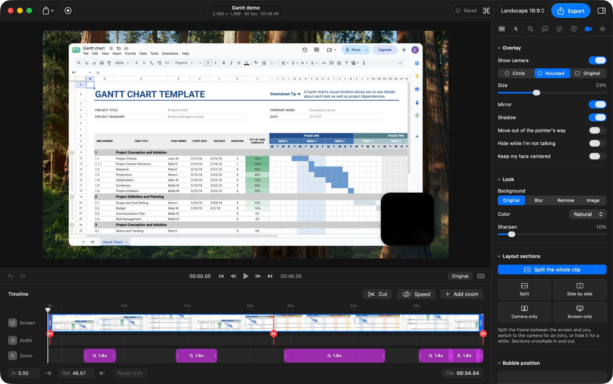 The VeyFrame editor: a framed recording of a spreadsheet with the camera in a rounded bubble, a timeline with cuts and zoom blocks, and the camera inspector